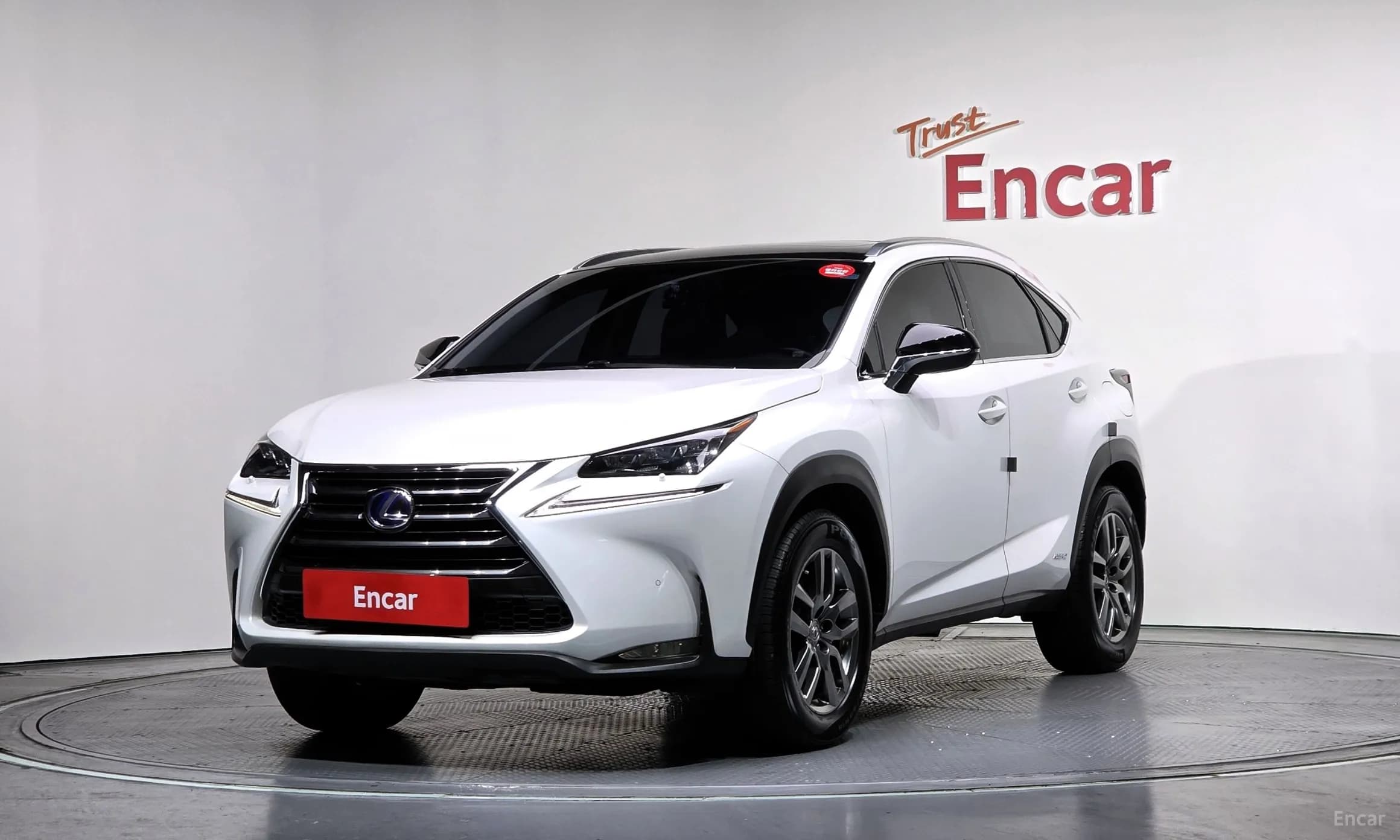 NX300h