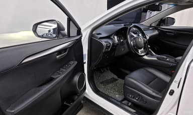 NX300h