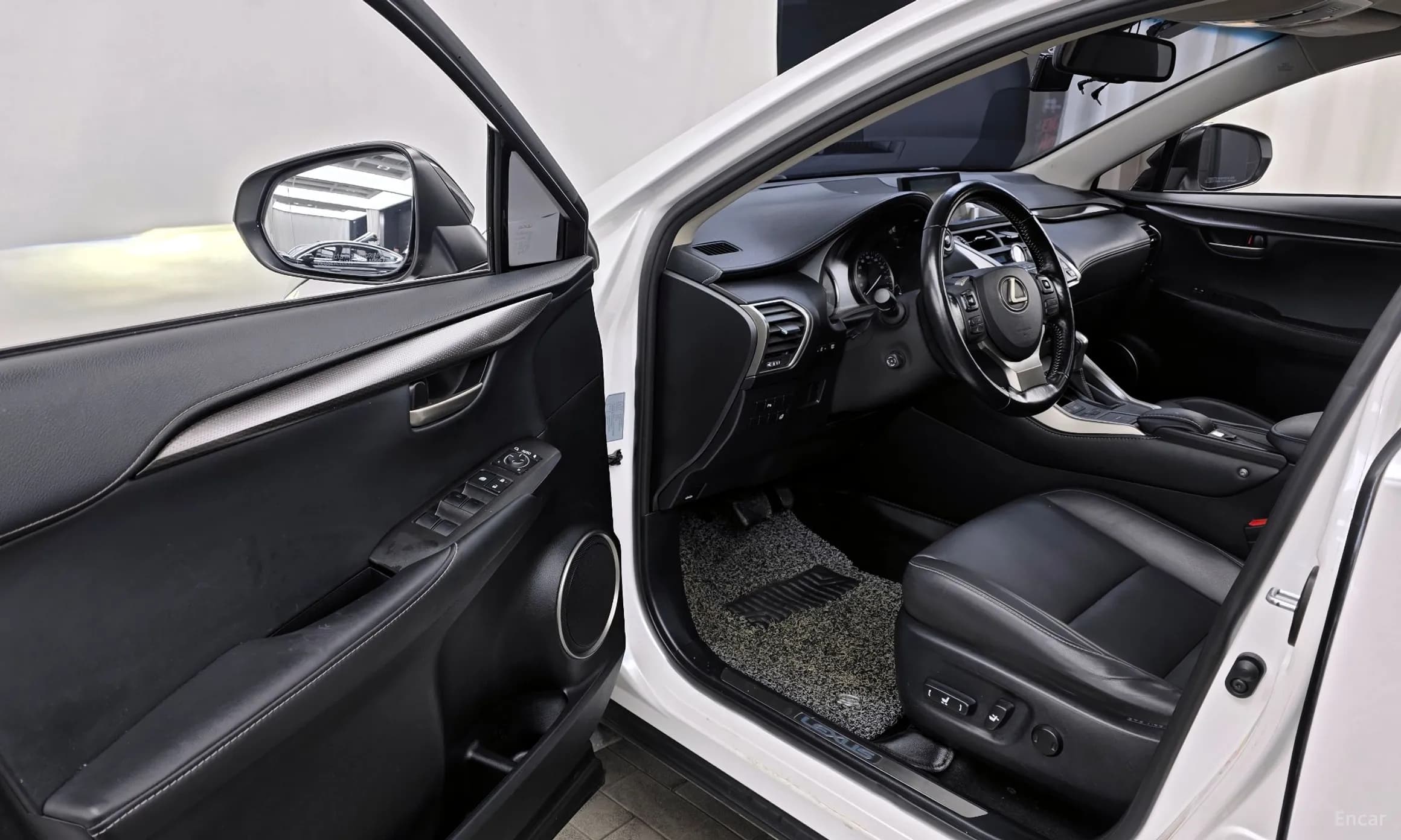 NX300h