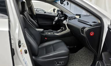 NX300h