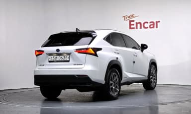 NX300h