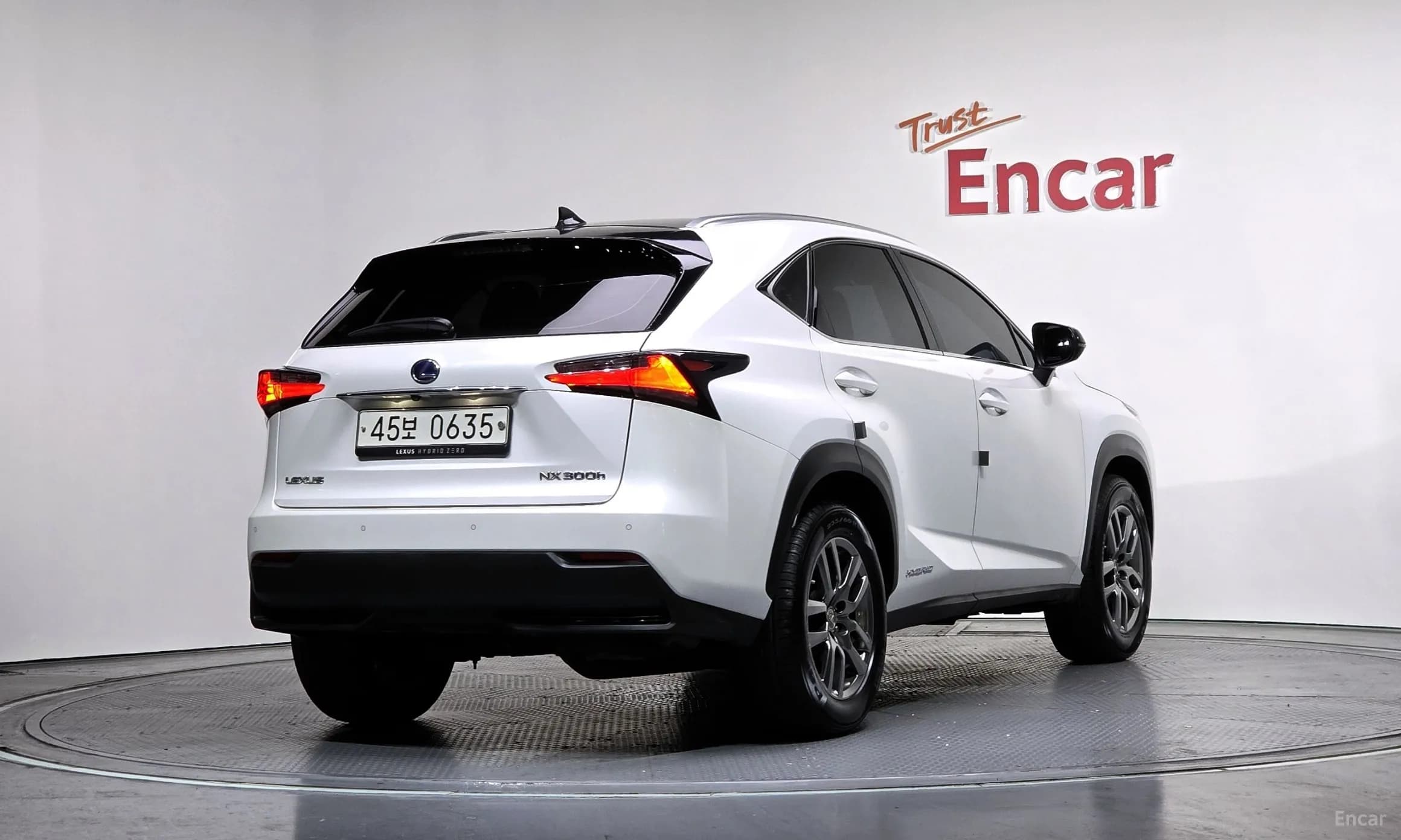 NX300h