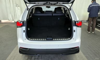 NX300h