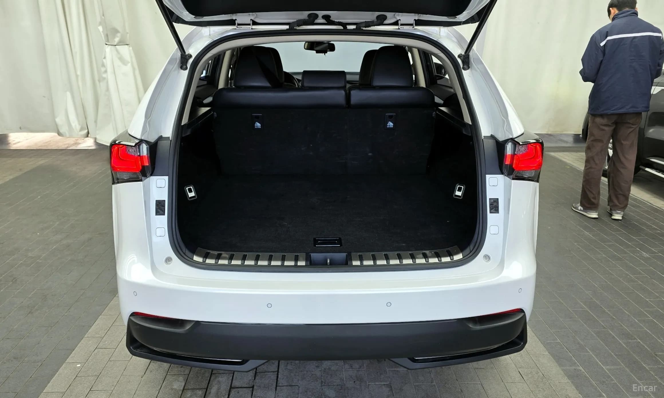NX300h