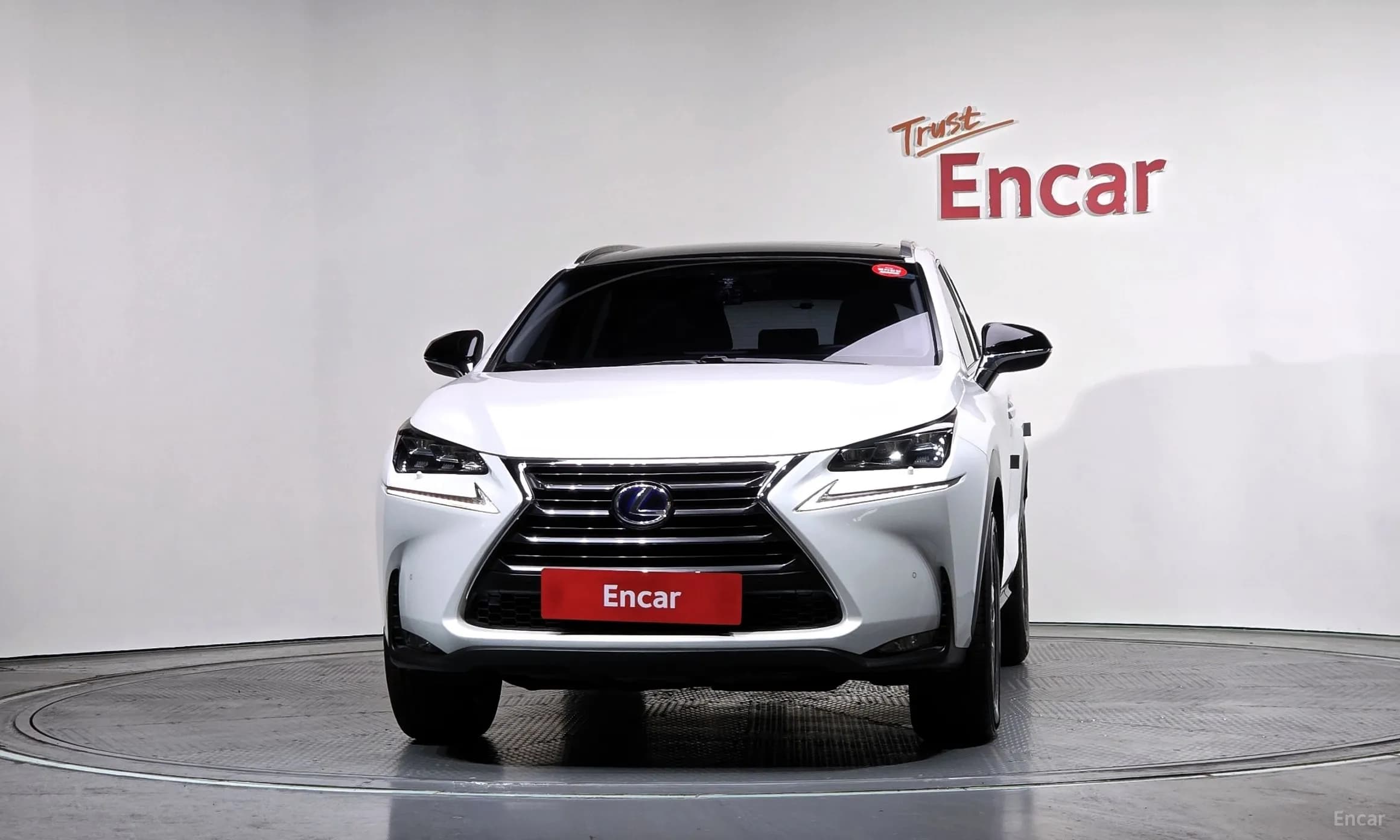 NX300h
