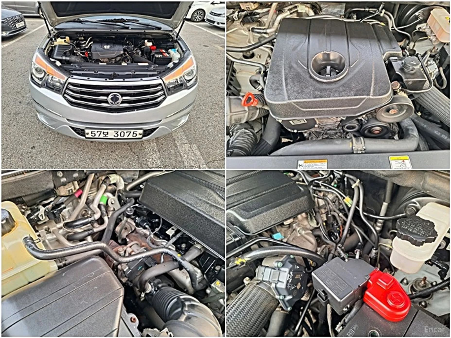 Korando Turismo