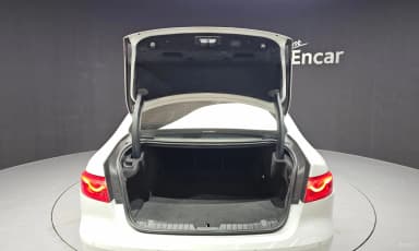 XF (x260)