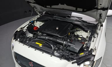 XF (x260)