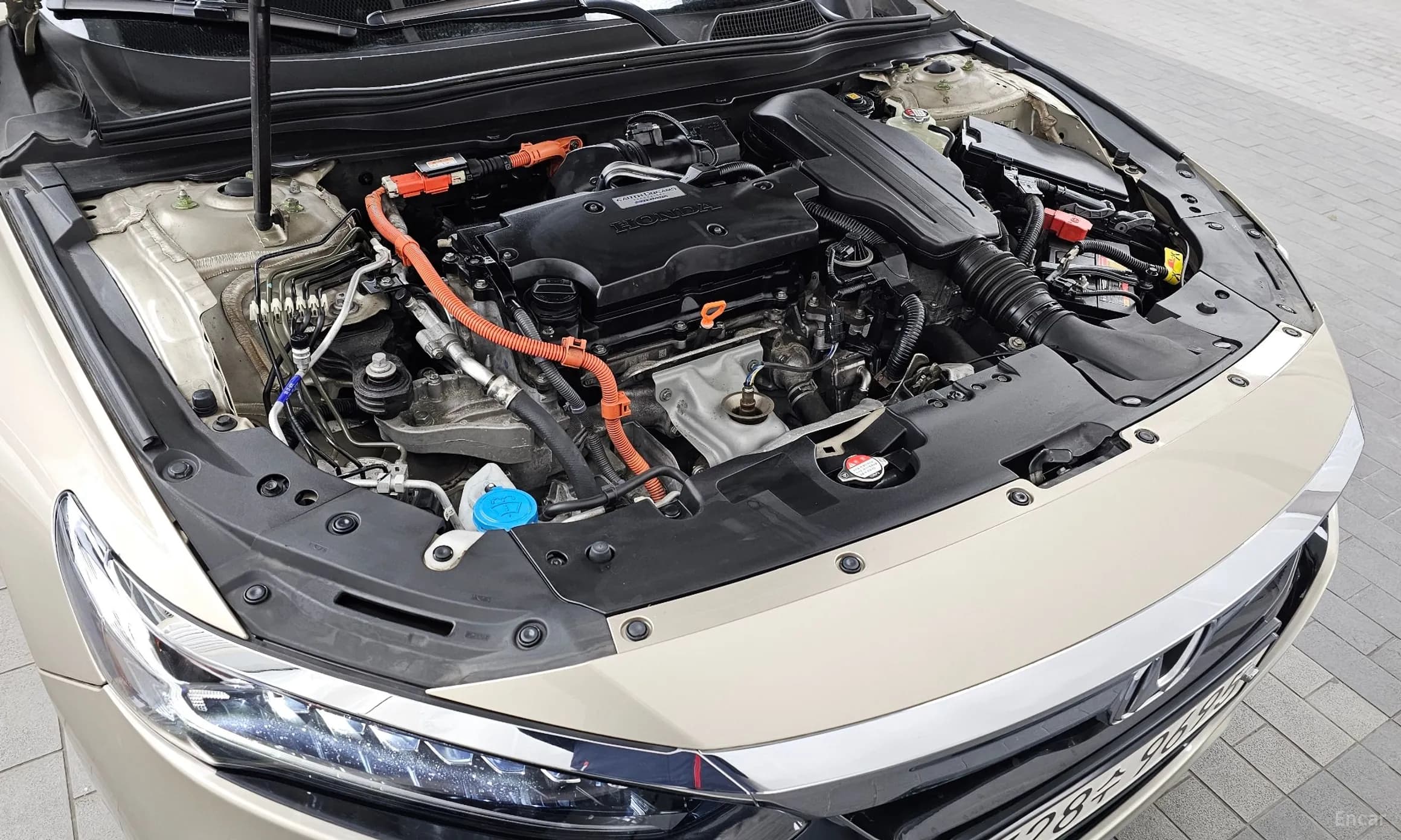 Accord 10th Generation