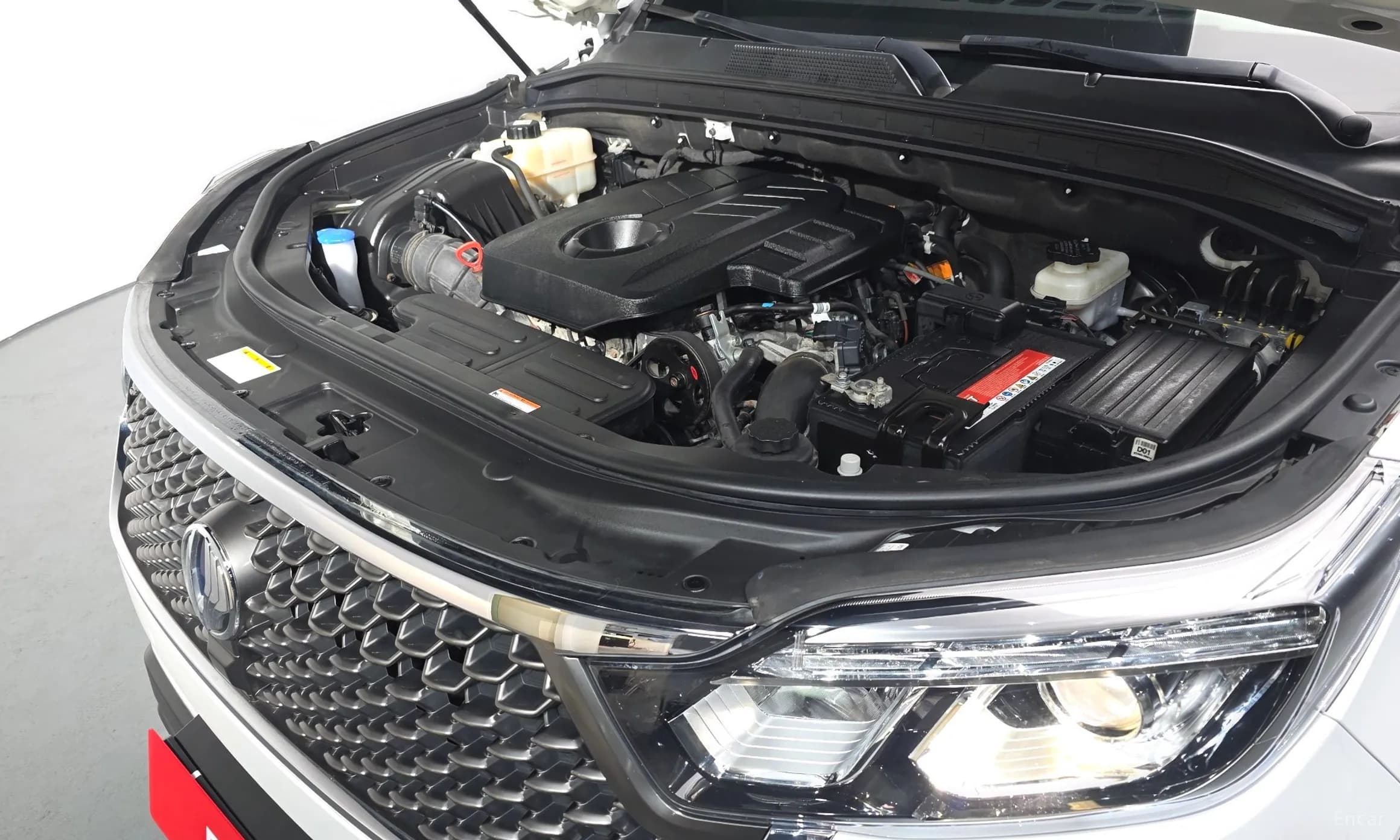 G4 Rexton