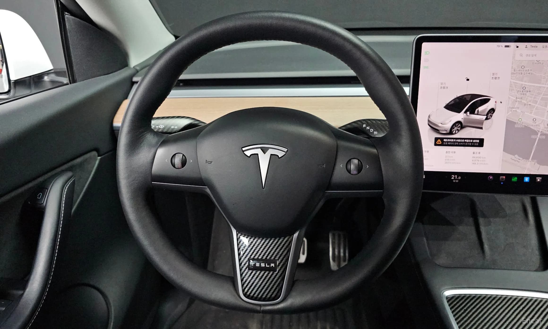 Model Y