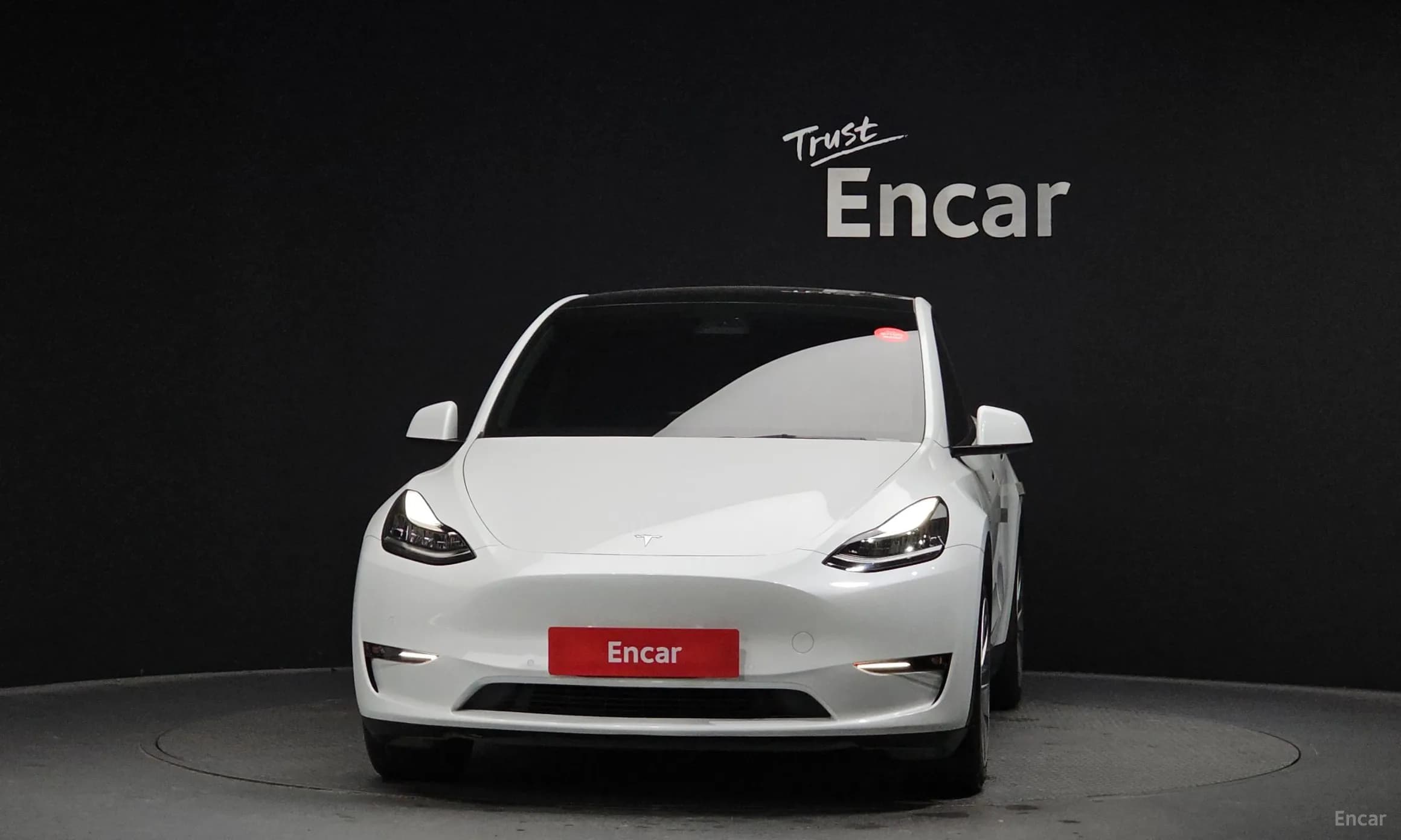 Model Y