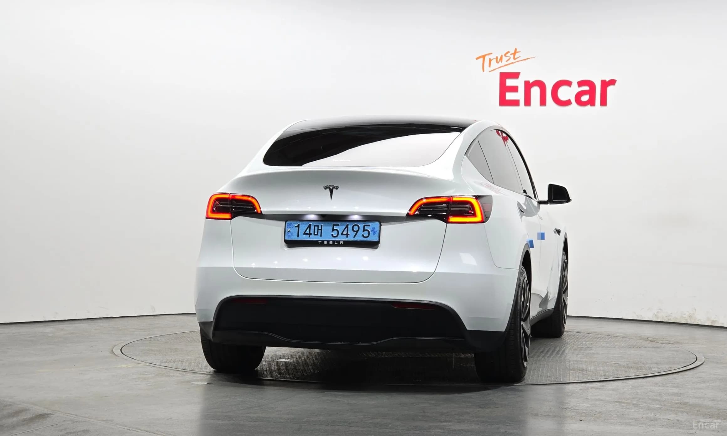 Model Y