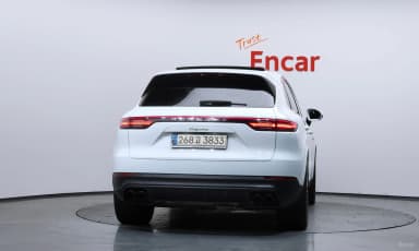 Cayenne (PO536)