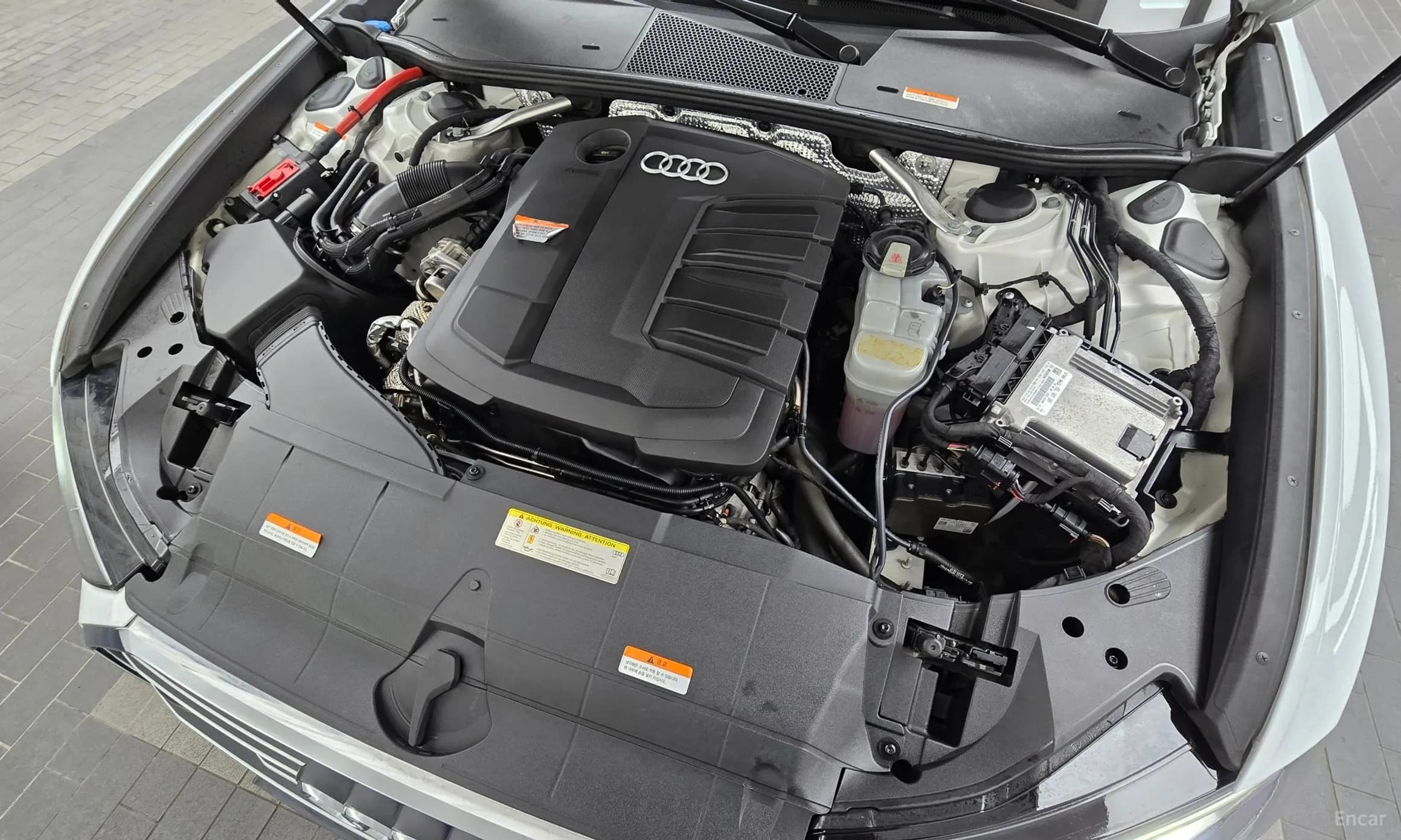 A6 (C8)