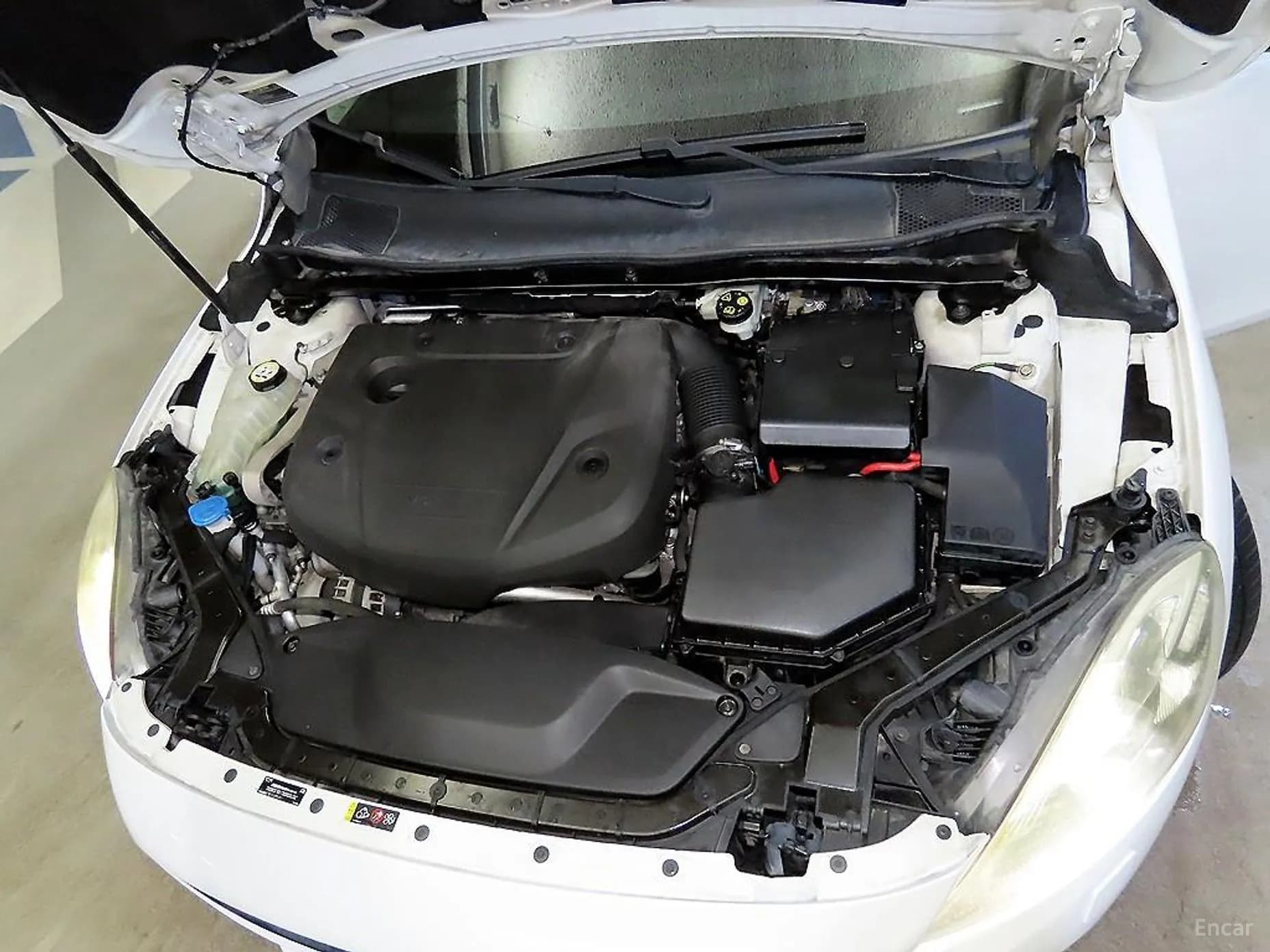 V40