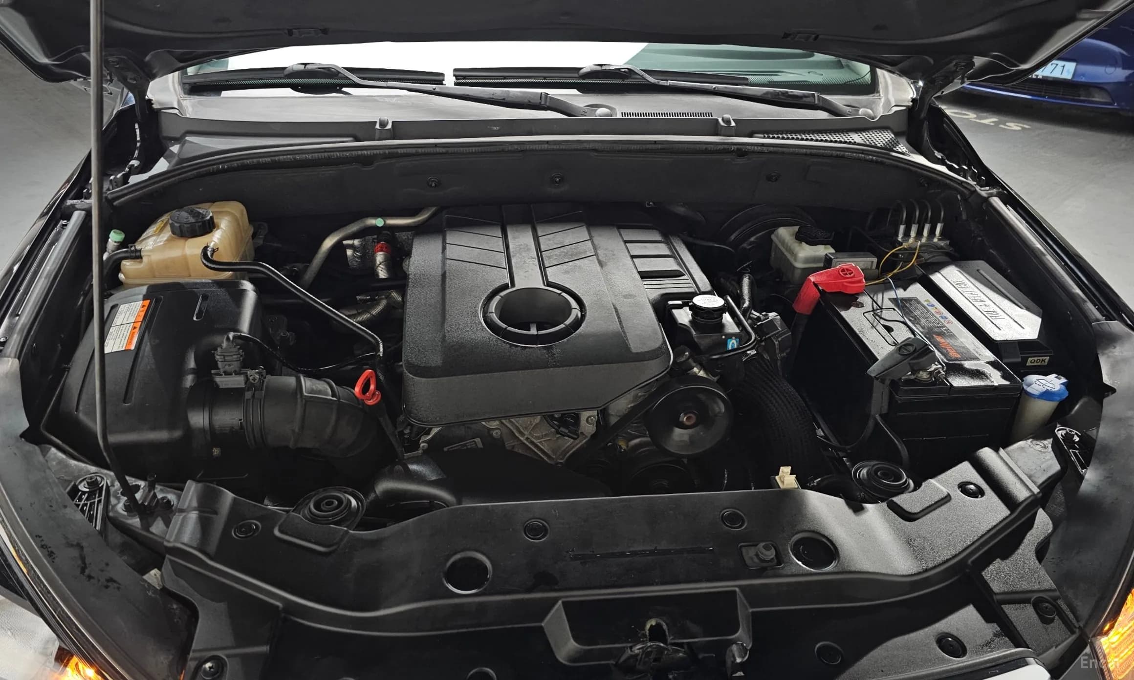 Korando Sports