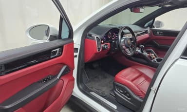 Cayenne (PO536)