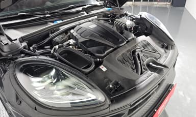 Macan