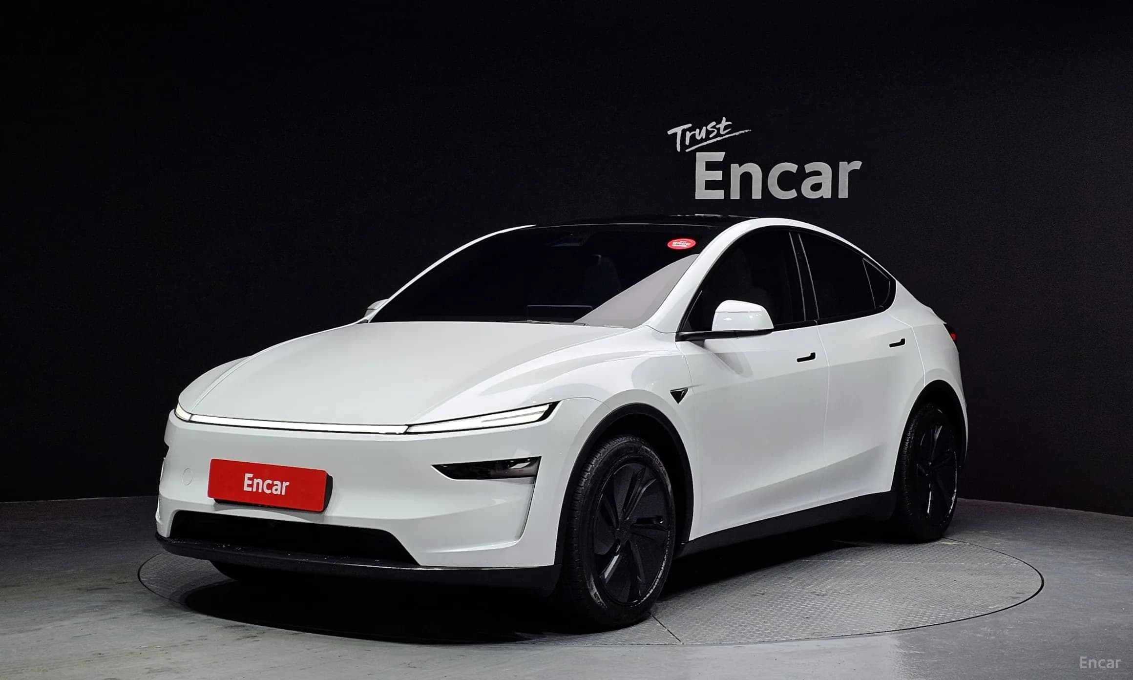 Model Y