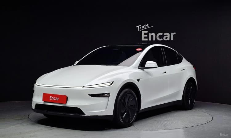 Model Y