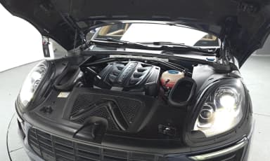 Macan
