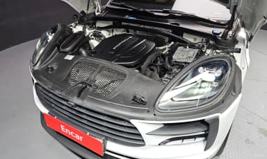 Macan