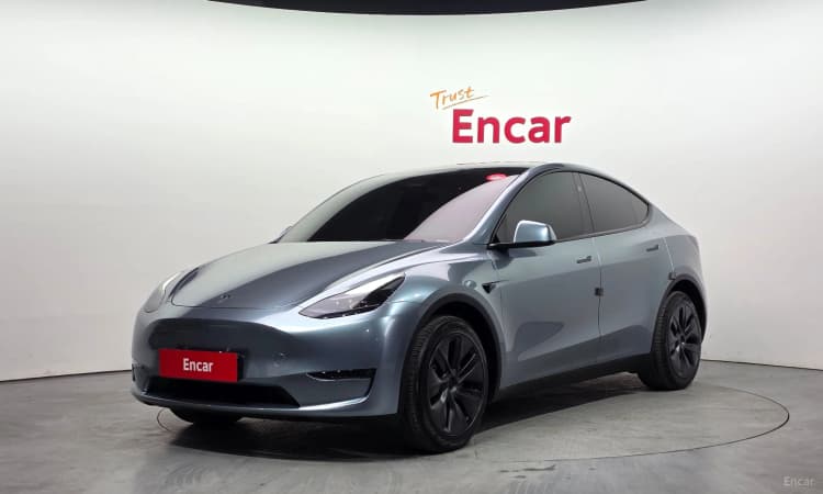 Model Y