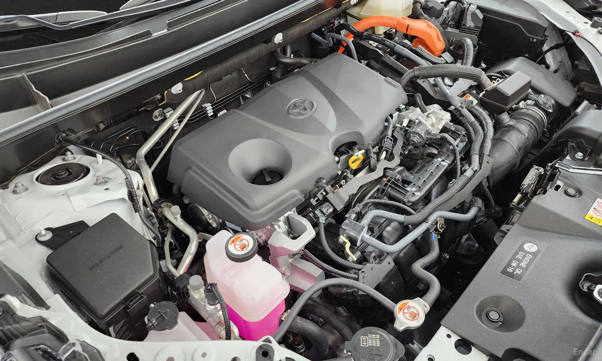 RAV4 5th Generation