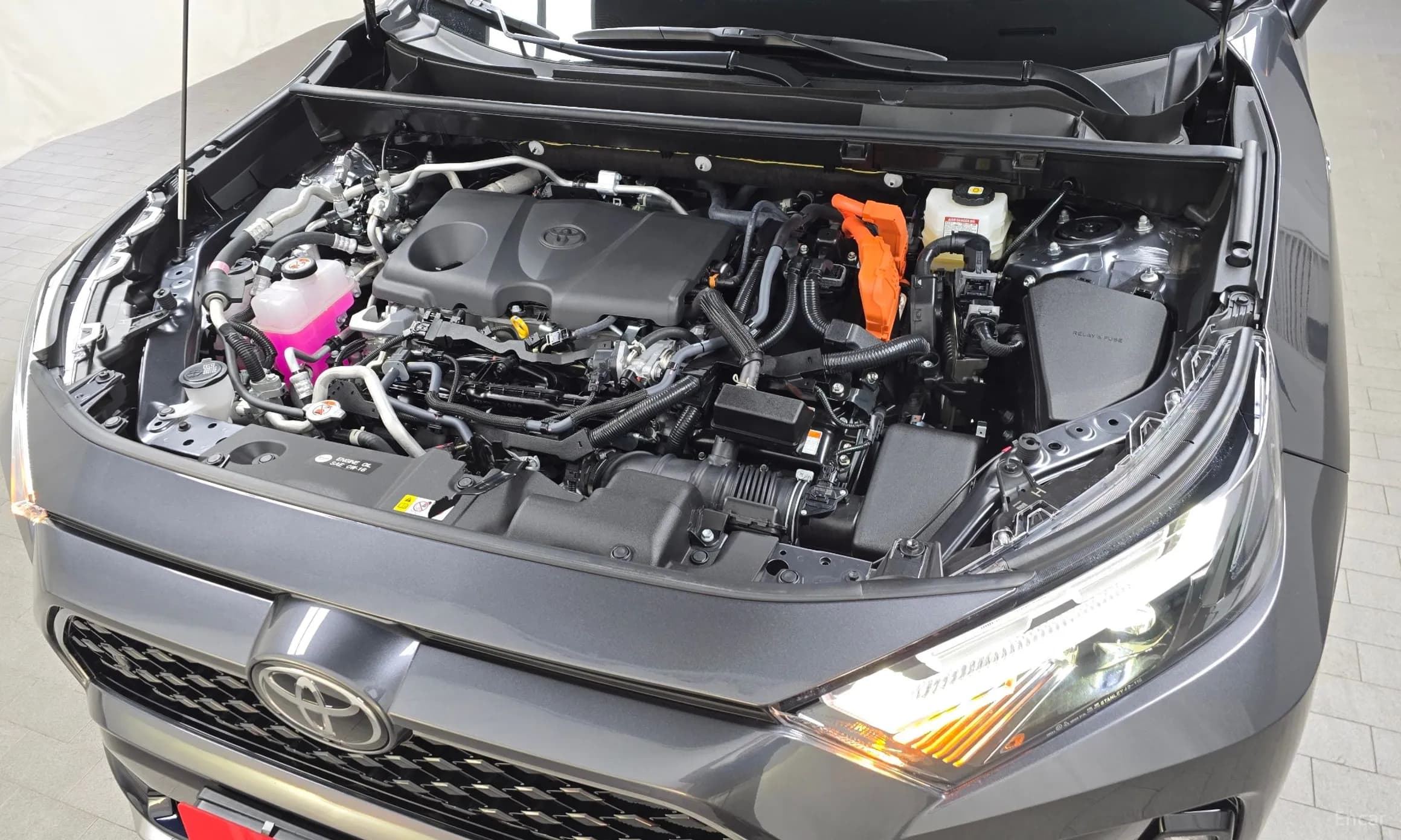 RAV4 5th Generation