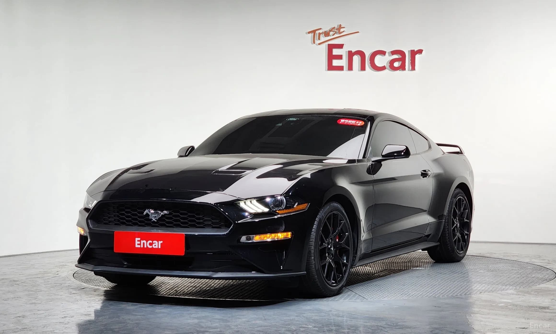 Mustang