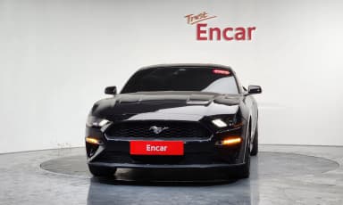 Mustang