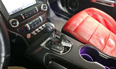 Mustang