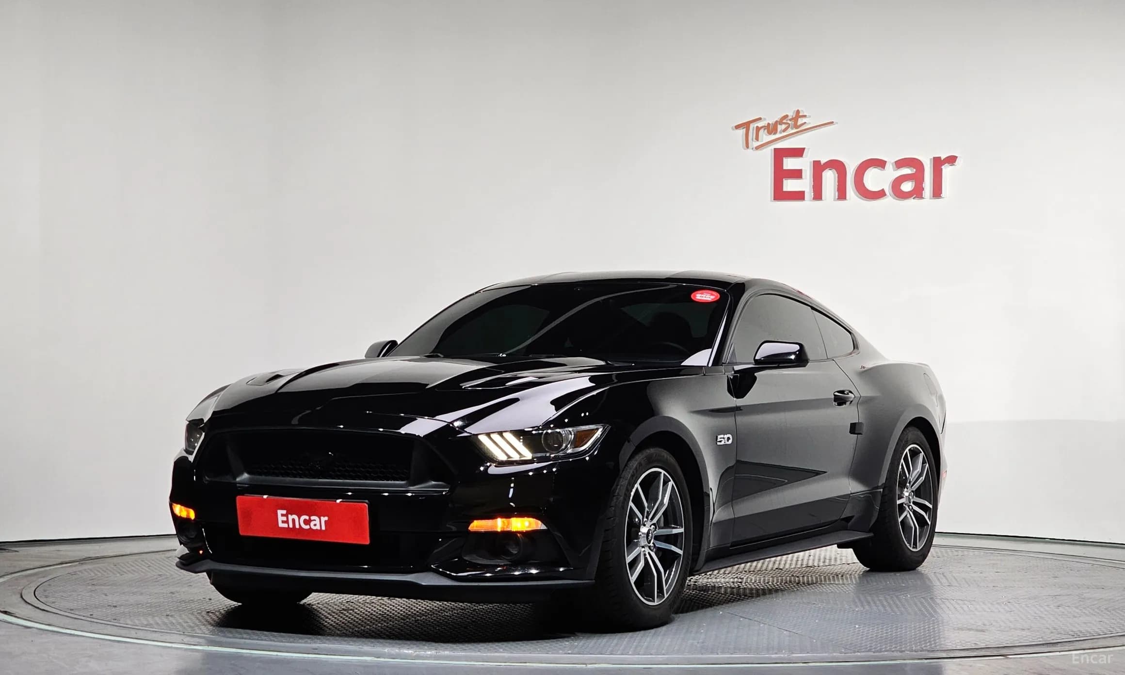 Mustang