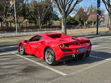 F8 Spider