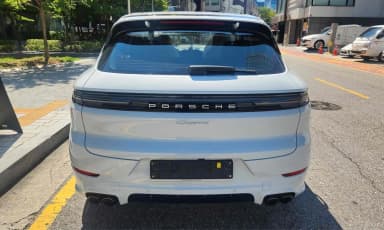 Cayenne (PO536)