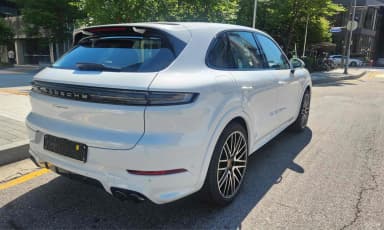 Cayenne (PO536)