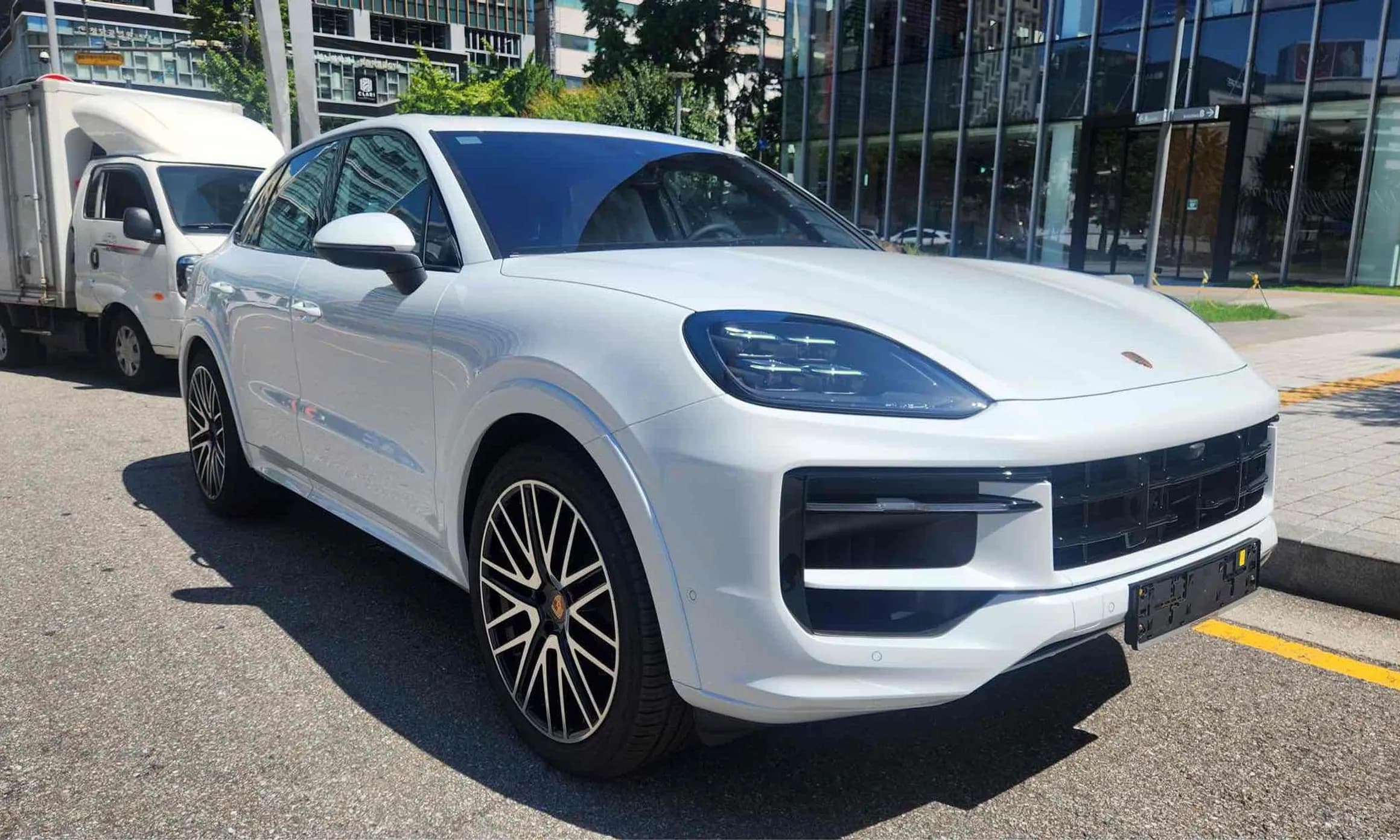 Cayenne (PO536)