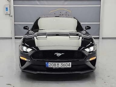 Mustang