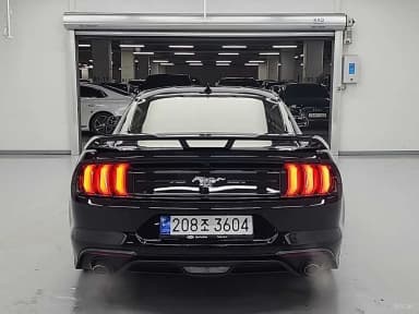 Mustang