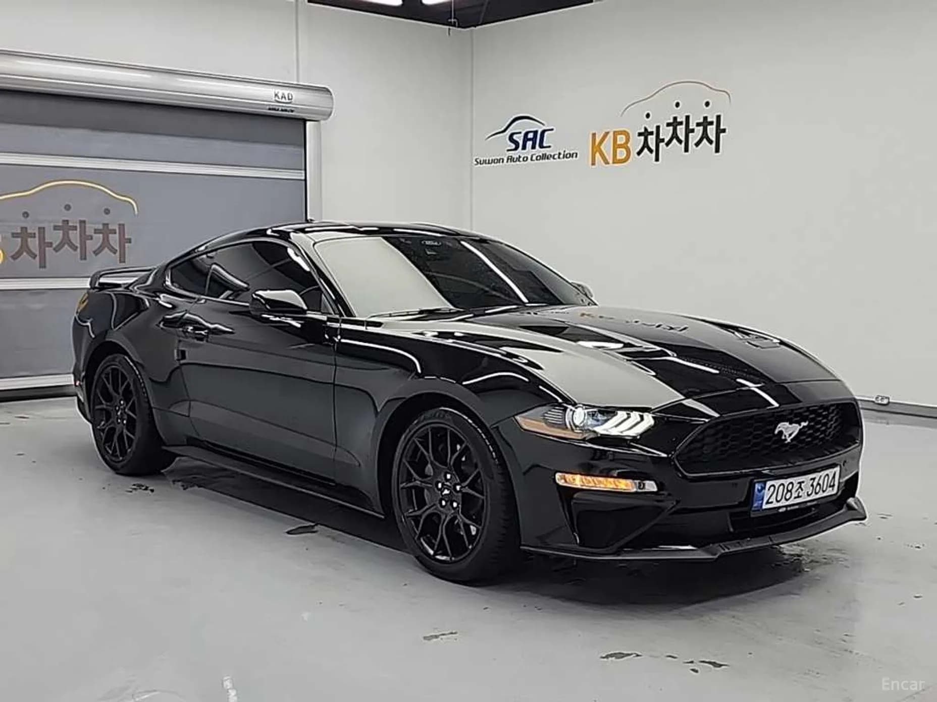 Mustang