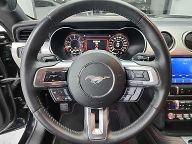 Mustang