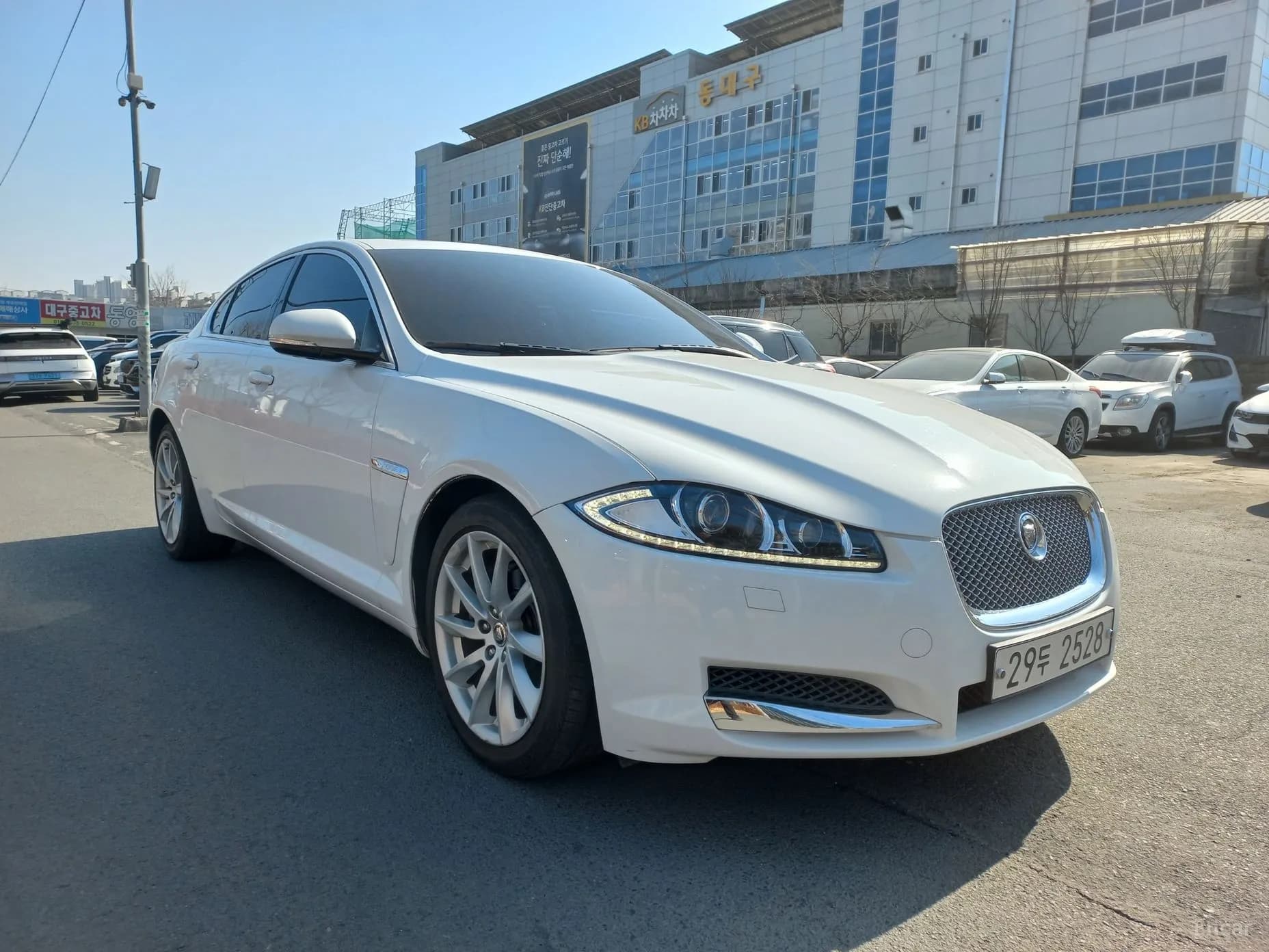 New XF