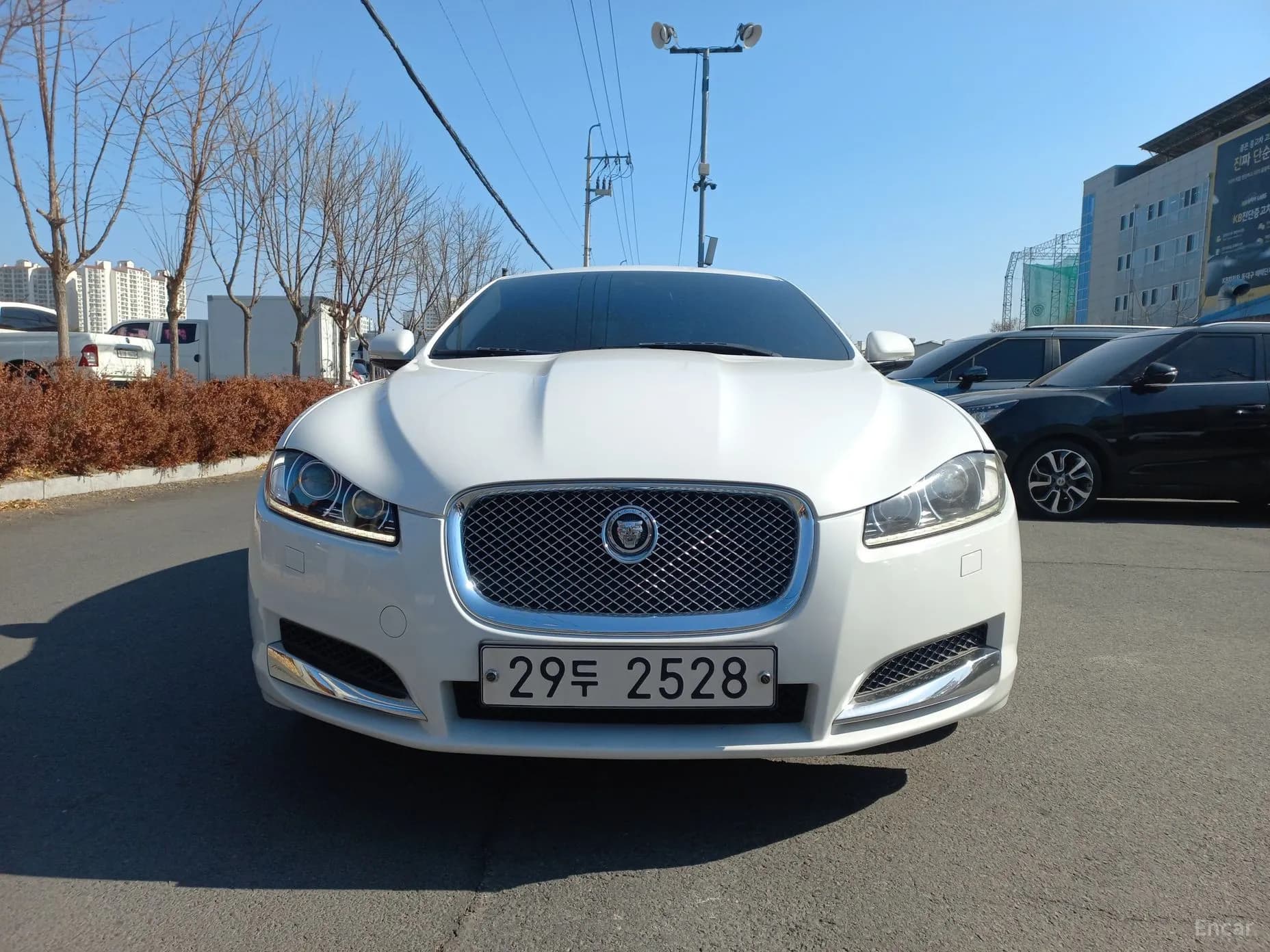 New XF