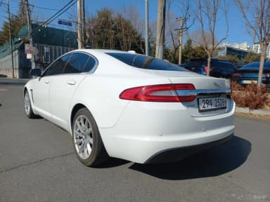 New XF