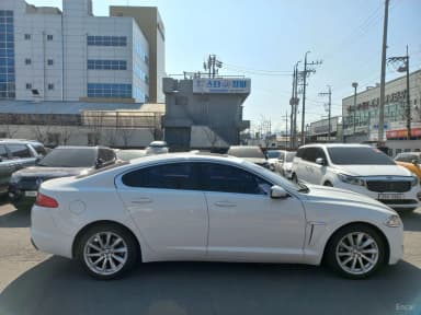 New XF