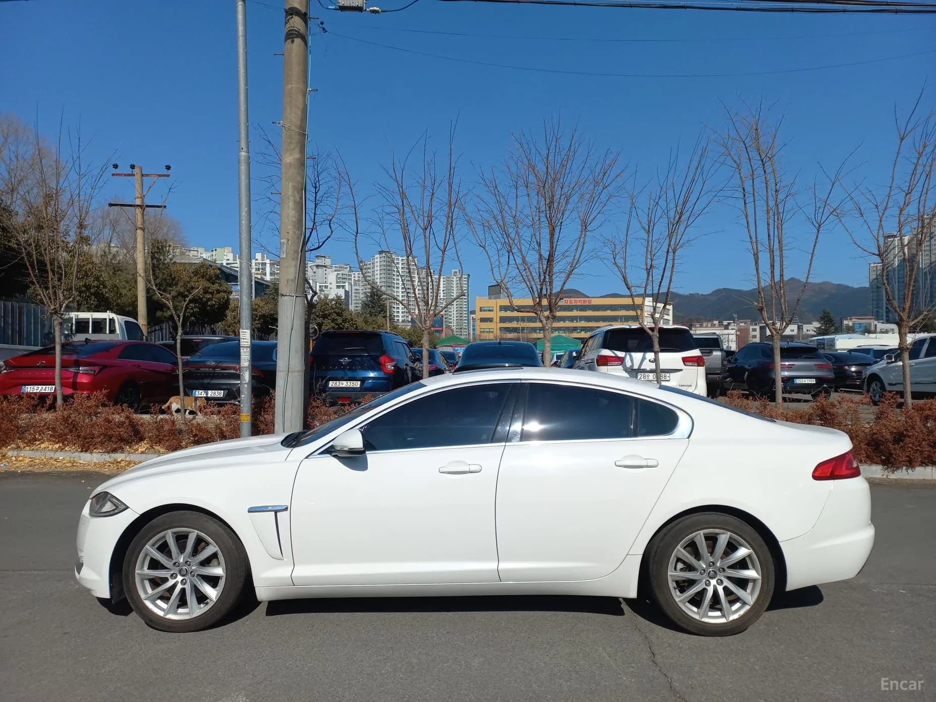New XF