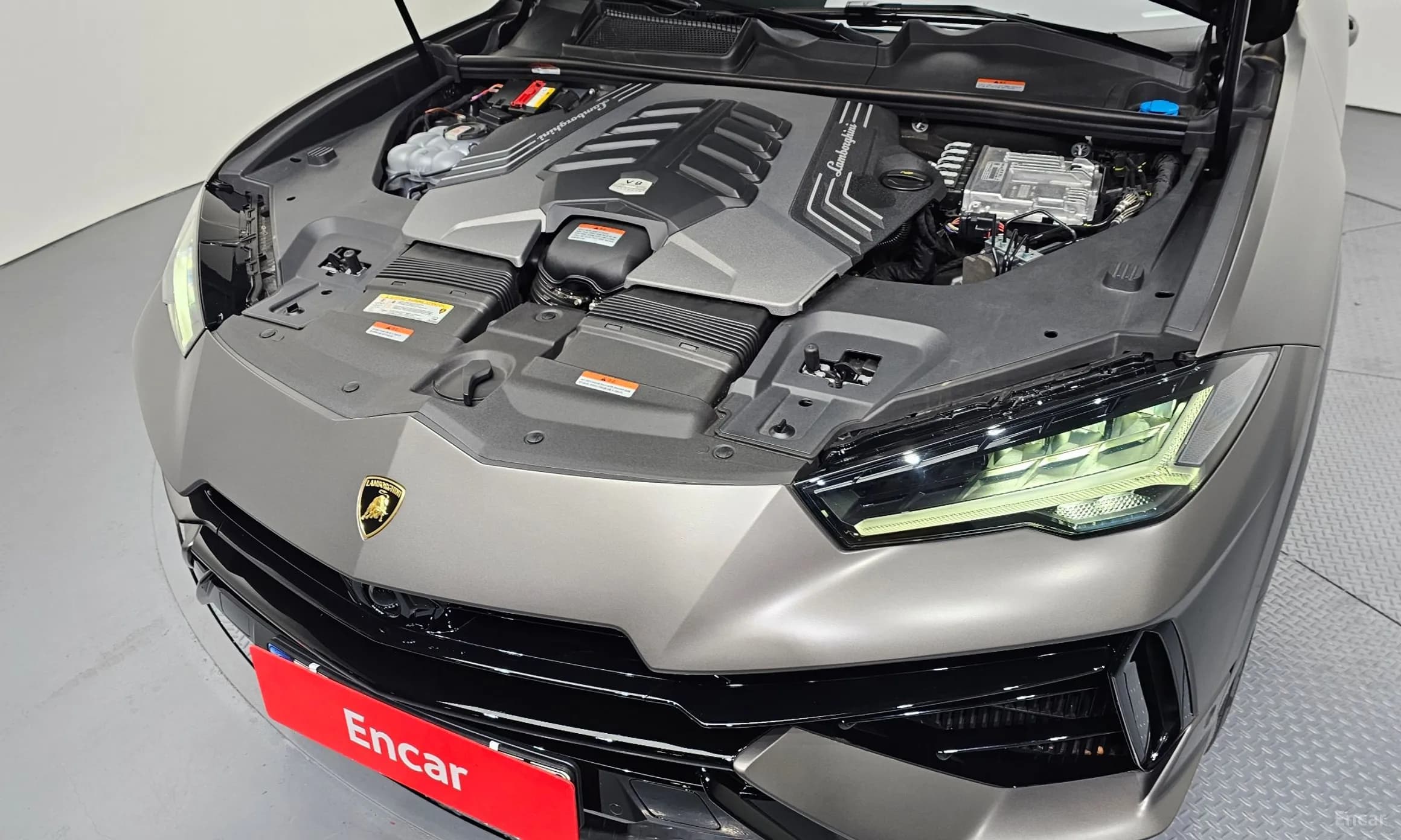 Urus