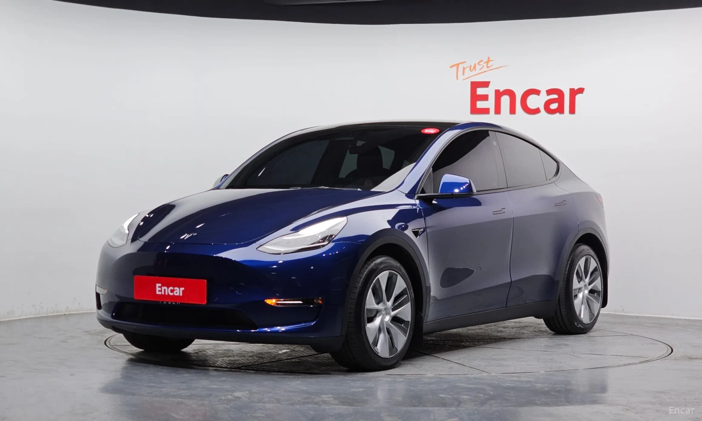 Model Y