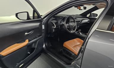 UX250h